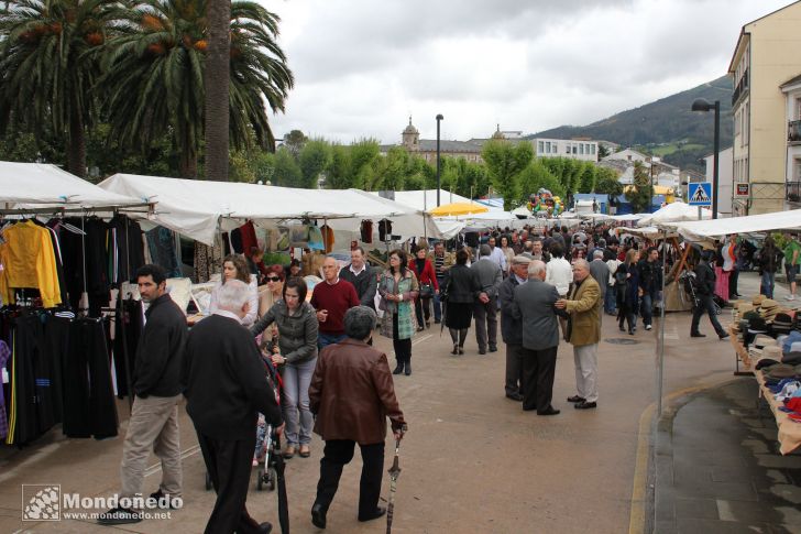 As Quendas 2010
Puestos de la feria
