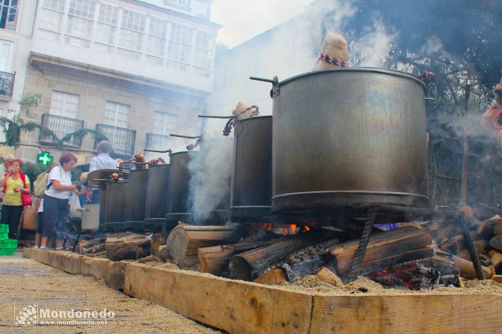 Mercado Medieval 2010
Preparando la comida
