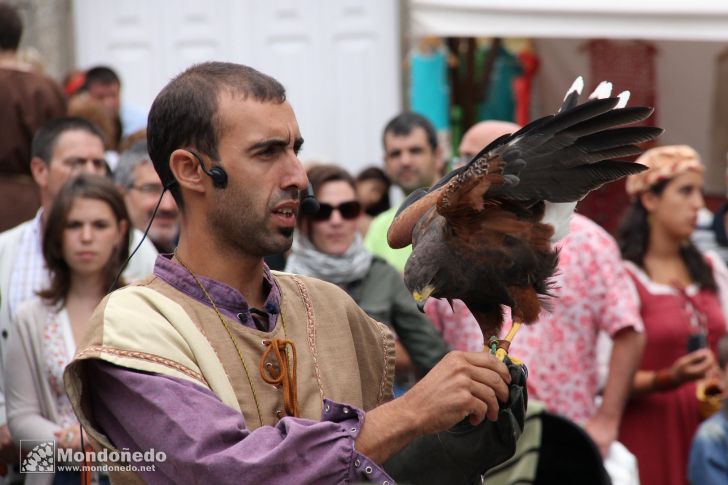 Mercado Medieval 2010
Aves de cetrería
