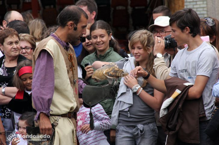 Mercado Medieval 2010
Acariciando aves
