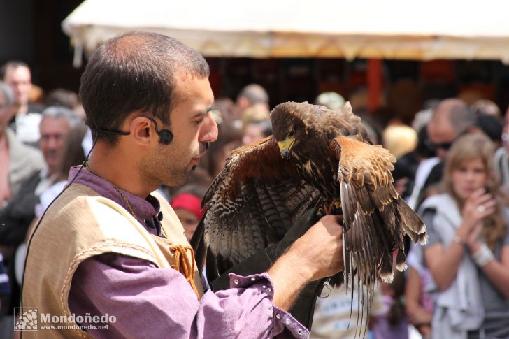 Mercado Medieval 2010
Exhibición con aves de cetrería
