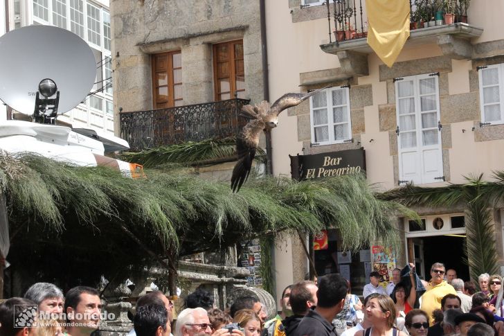 Mercado Medieval 2010
Vuelo de aves de cetrería
