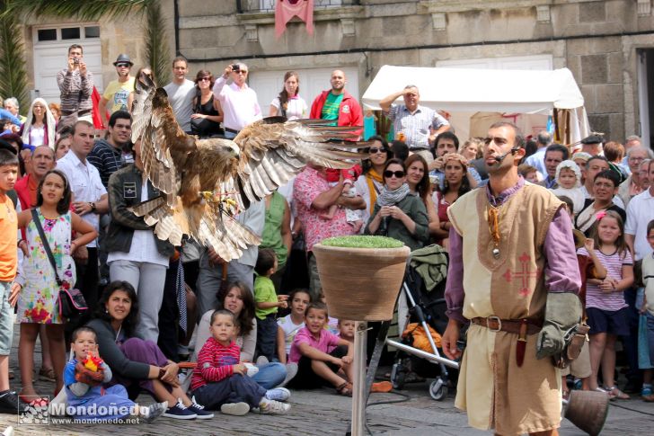 Mercado Medieval 2010
Exhibición con aves de cetrería
