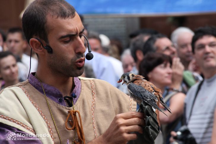 Mercado Medieval 2010
Aves de cetrería
