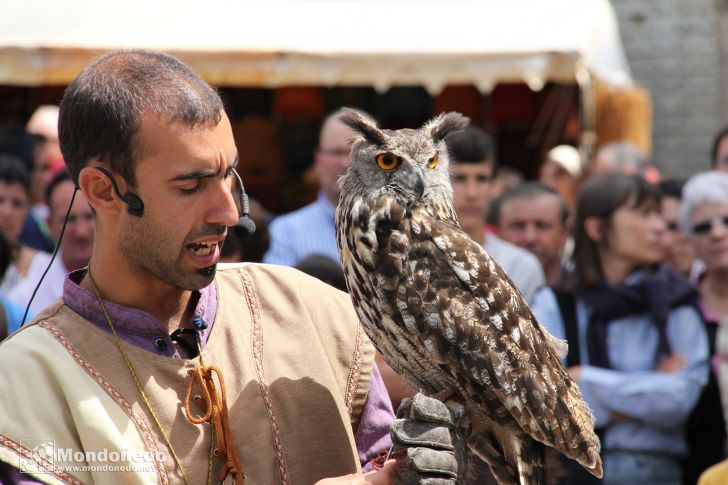 Mercado Medieval 2010
Vuelo de aves de cetrería
