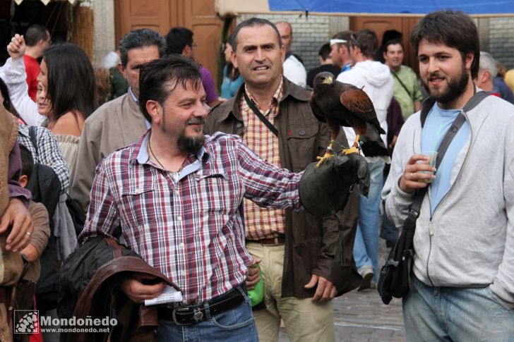 Mercado Medieval 2010
Vuelo de aves de cetrería
