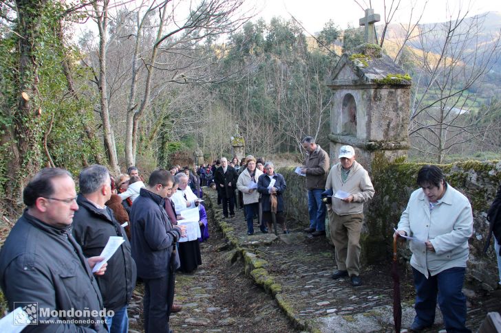 Miércoles Santo
En el viacrucis
