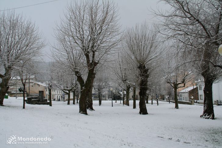 Nieve en Mondoñedo
Campo dos Paxariños
