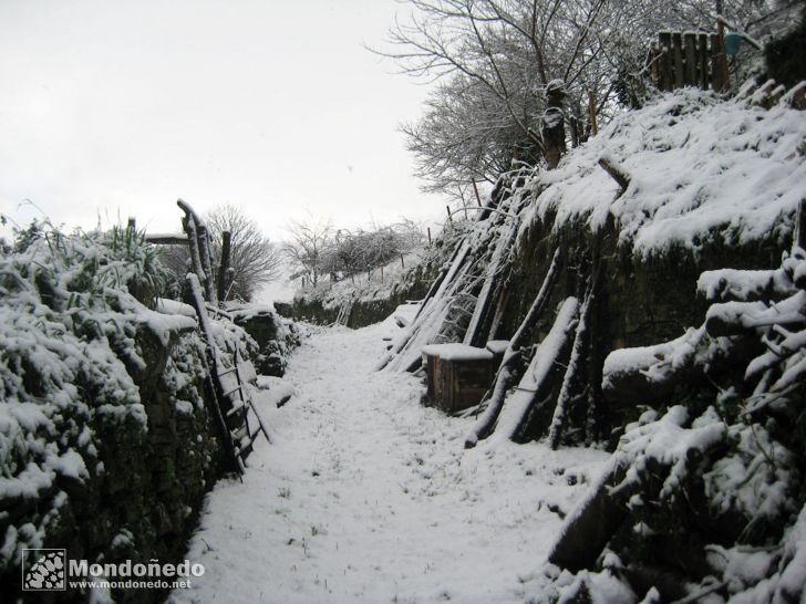 Nieve en Mondoñedo (colaboraciones)
Foto de Anxo y Moncho García
