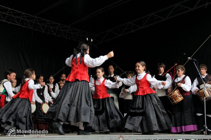 Festival Folclórico
A Subela
