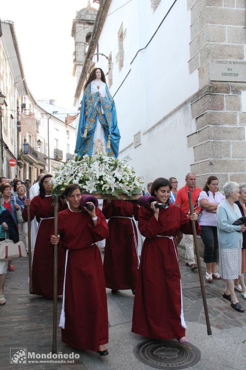 V Centenario Concepcionistas
Procesión
