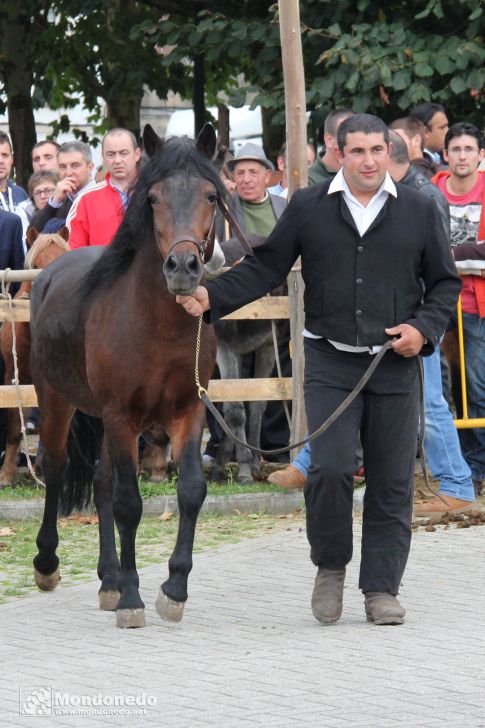 Concurso morfológico
Final de la Copa Galicia P.R.G
