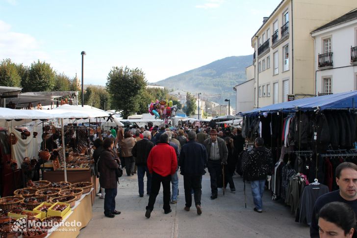 As San Lucas
Puestos de la feria
