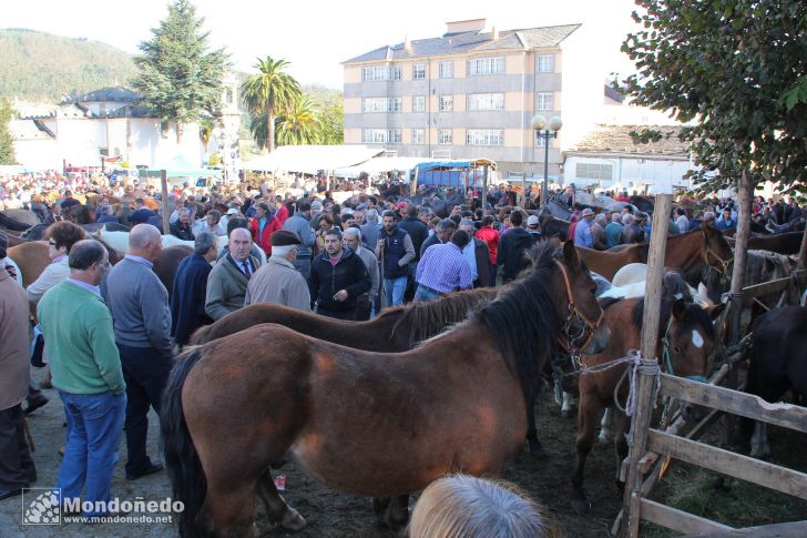 As San Lucas
Feria multitudinaria
