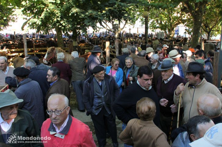 As San Lucas
En la feria
