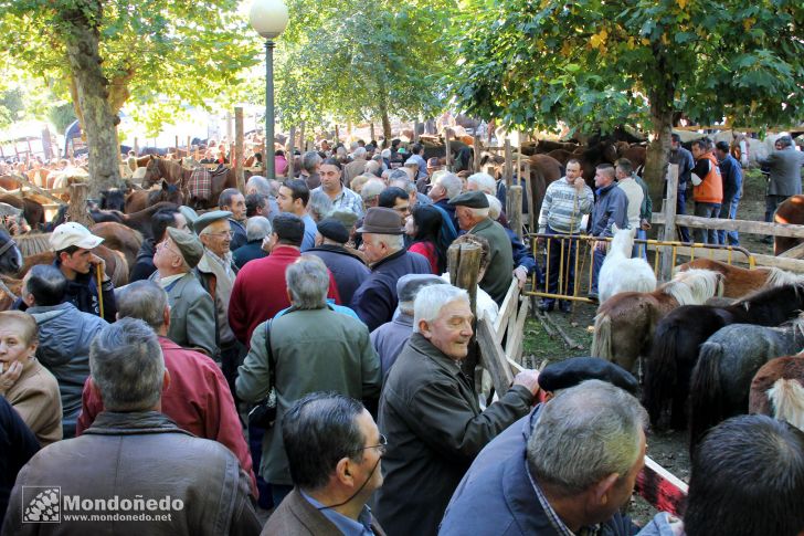 As San Lucas
Disfrutando de la feria
