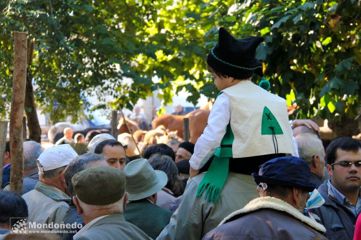 As San Lucas
Feria multitudinaria
