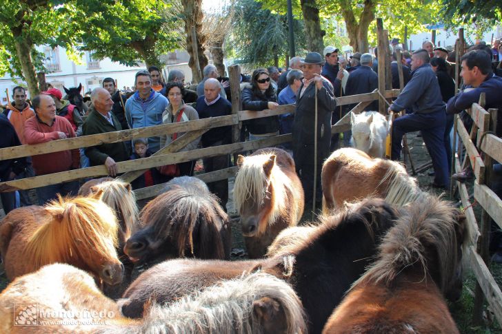 As San Lucas
En la feria
