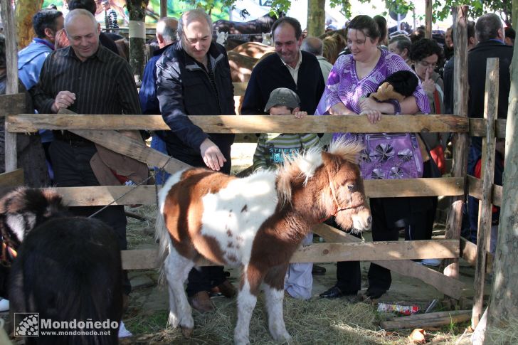 As San Lucas
Disfrutando de la feria
