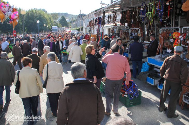 As San Lucas
Comprando en los puestos de la feria
