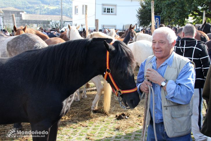 As San Lucas
En la feria
