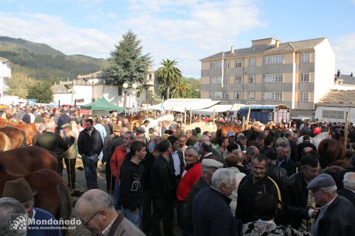 As San Lucas
Campo dos Paxariños
