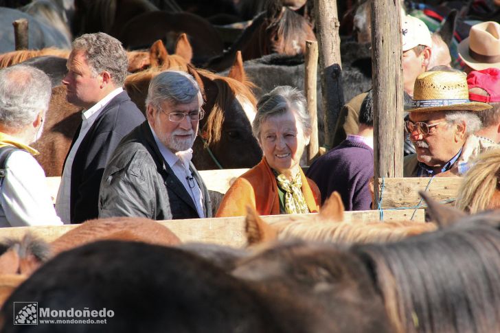 As San Lucas
En la feria
