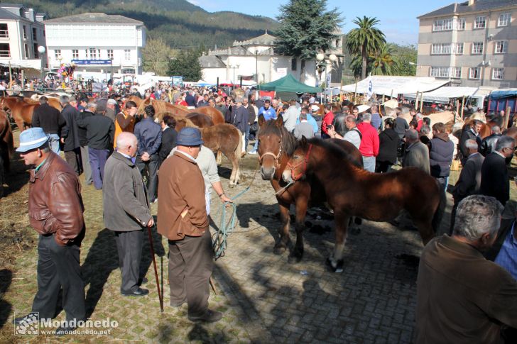 As San Lucas
Campo dos Paxariños
