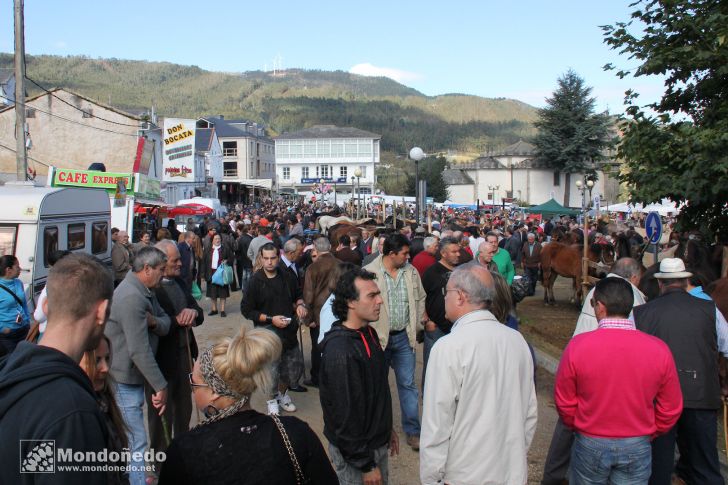 As San Lucas
Feria multitudinaria
