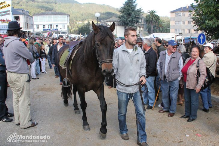 As San Lucas
En la feria
