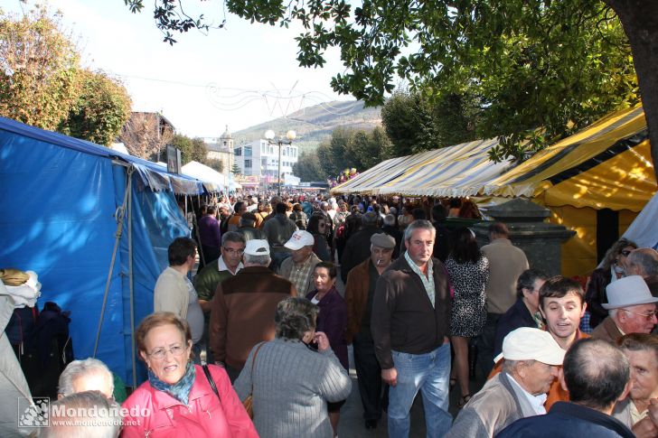 As San Lucas
Alameda llena de gente
