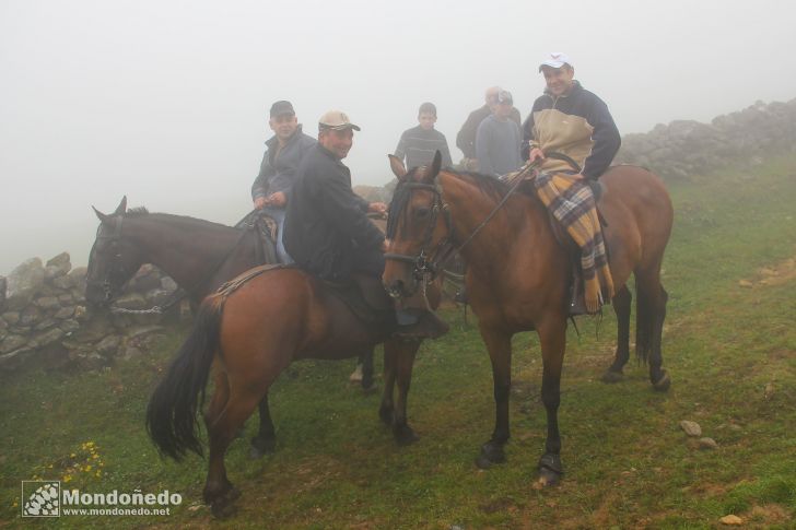 Rapa das Bestas
Niebla
