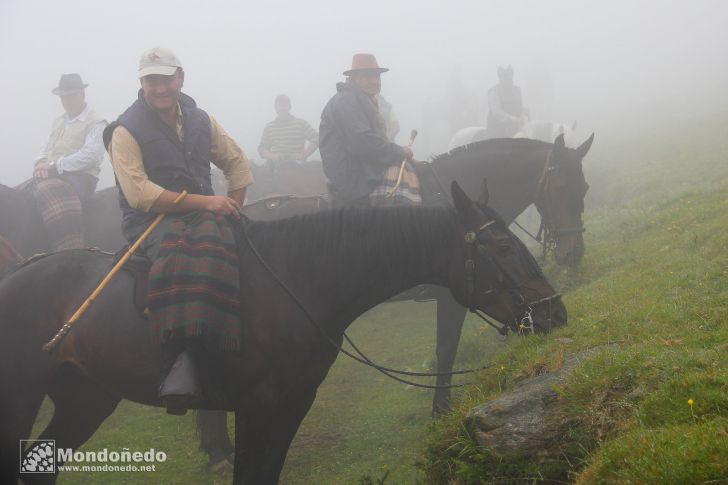 Rapa das Bestas
En la niebla
