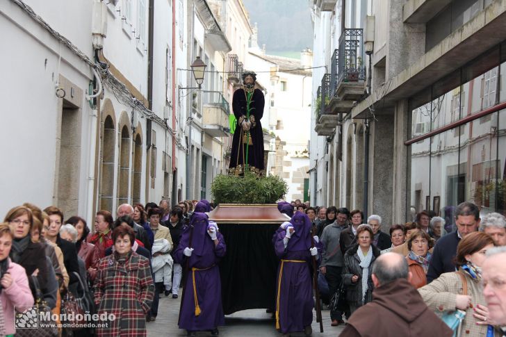 Domingo de Ramos
Un instante de la procesión
