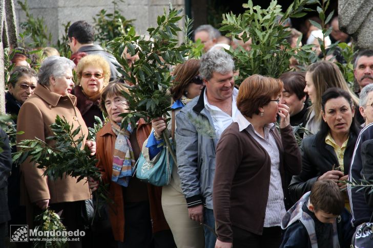 Domingo de Ramos
Procesión de Ramos
