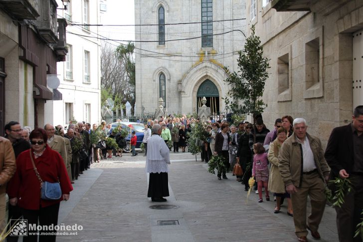 Domingo de Ramos
Procesión de Ramos
