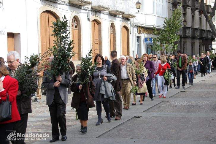 Domingo de Ramos
Un instante de la procesión
