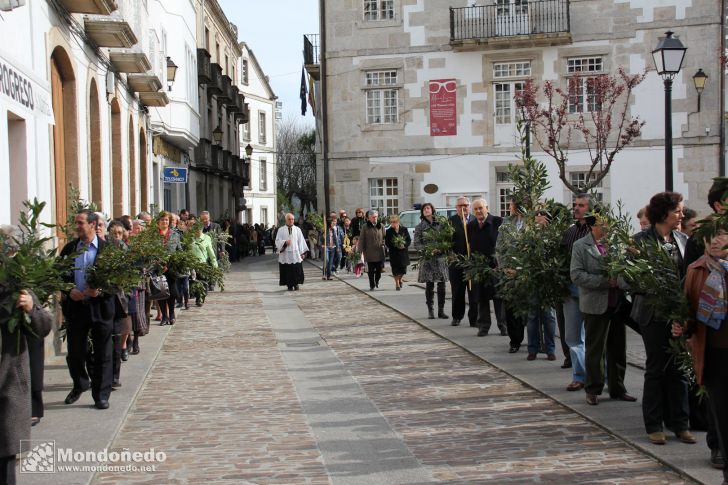 Domingo de Ramos
Procesión por la Praza do Concello
