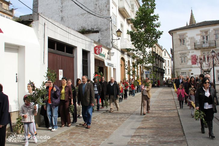 Domingo de Ramos
Procesión de Ramos
