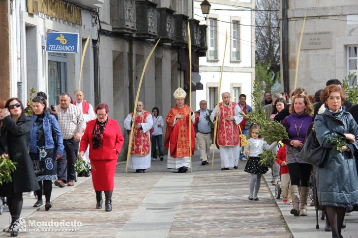 Domingo de Ramos
Procesión de Ramos
