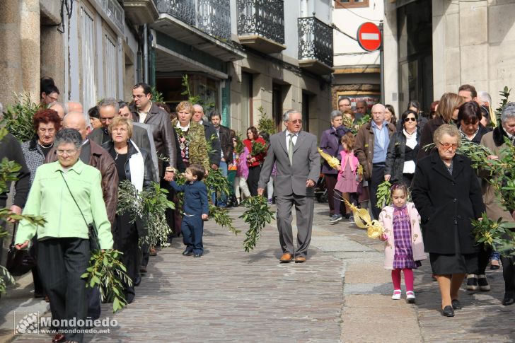 Domingo de Ramos
Procesión de Ramos
