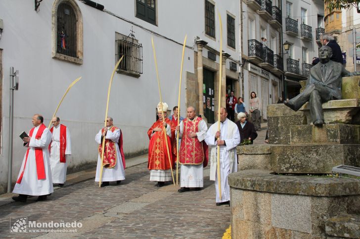 Domingo de Ramos
En procesión
