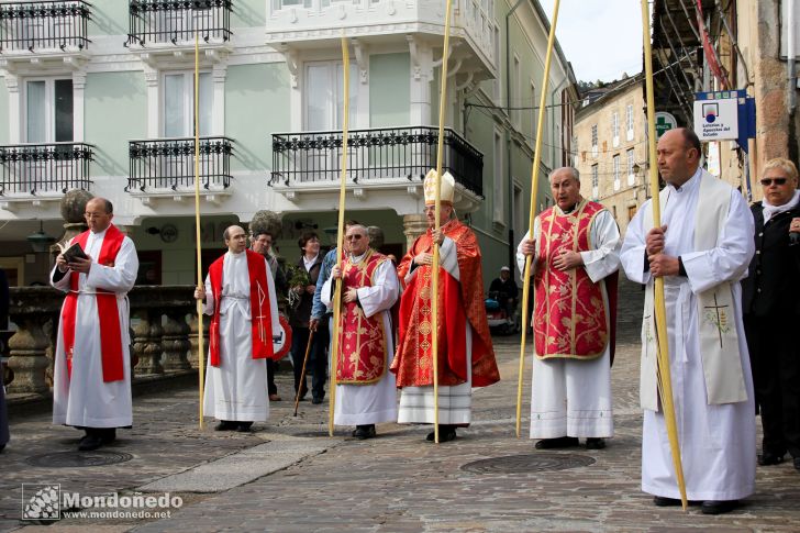 Domingo de Ramos
Procesión de Ramos
