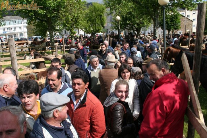 As Quendas 2008
En la feria
