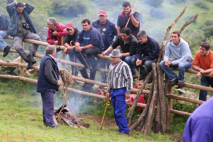 Rapa das Bestas
Calentando el hierro de marcar
