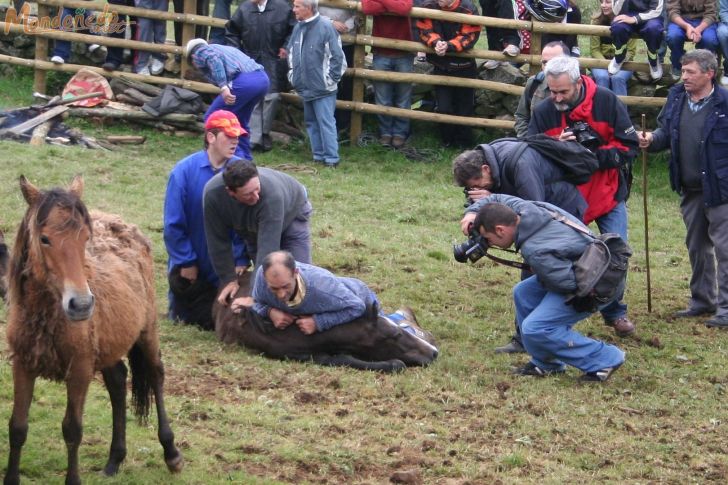 Rapa das Bestas 2008
Dominando los caballos
