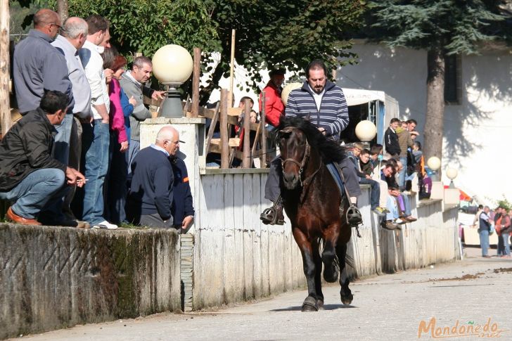 Concurso de Andadura Galega
Modalidad dos tiempos
