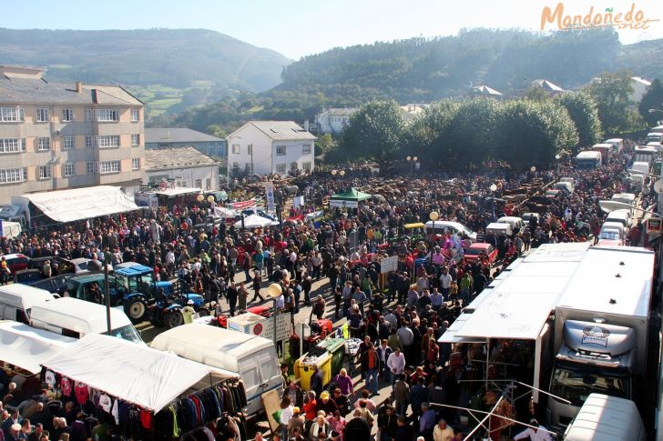 As San Lucas 2009
Feria multitudinaria
