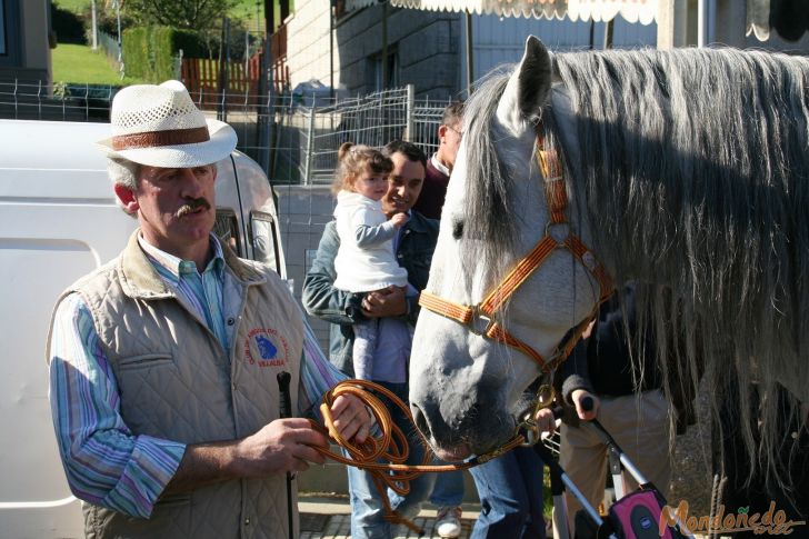 As San Lucas 2009
Tratante de ganado
