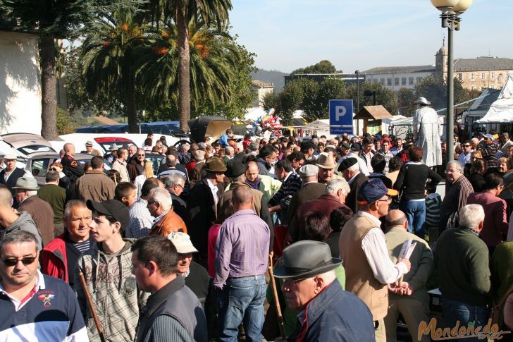 As San Lucas 2009
En la feria
